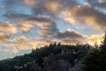 朝焼けに染まる積乱雲と針葉樹林の風景 © taka