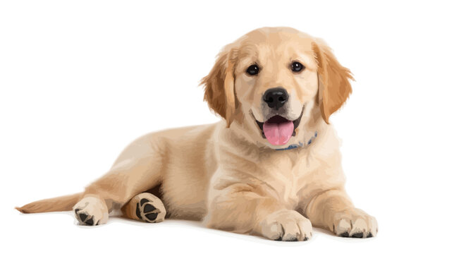 Adorable Golden Retriever Puppy Posing For A Photo With A Happy Expression