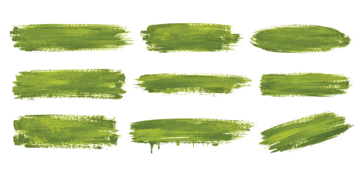 set of green cucumber slices watercolor vector illustration