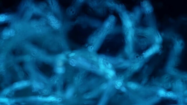 Defocused blurred bokeh background of blue fibrous liquid texture with glowing golden light spots. Concepts for holiday design, beauty and cosmetology, advertising posters, mineral water packaging