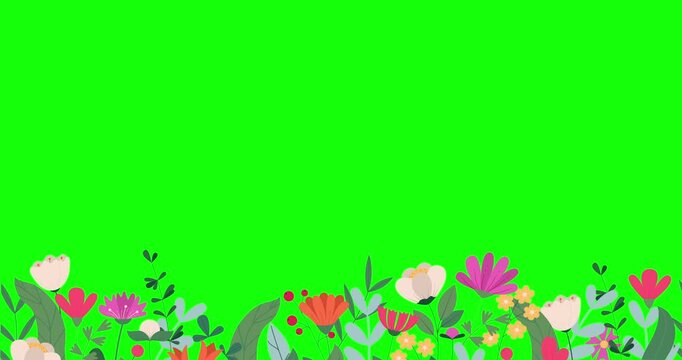 Horizontal seamless banner decorated with blooming flowers and leaves. Spring floral backdrop. Flat 2D animation on a green screen background
