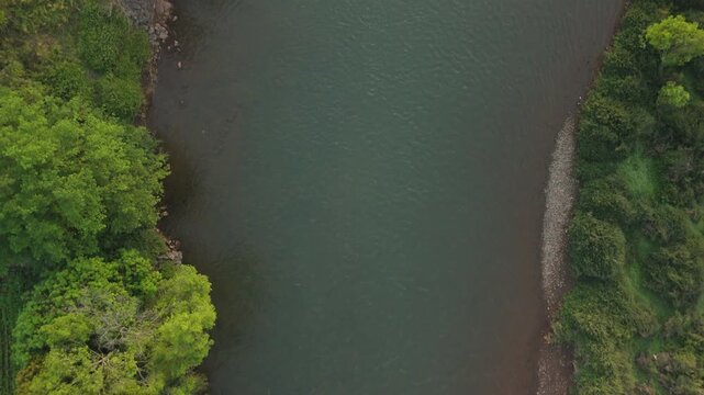 Top-down drone: A pristine river meanders through a dense, lush forest in rural Maharashtra.