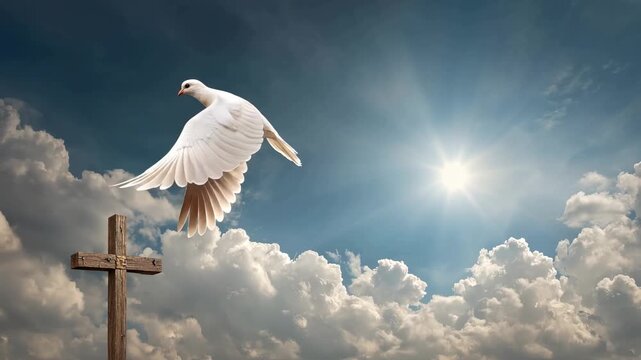 White dove flying above cross in sky symbol of peace faith spirituality hope and religious freedom
