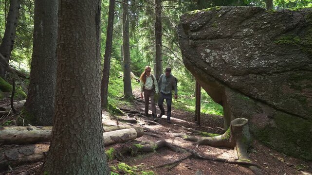 Couple hiking in Finnish forest, walking on a sunny trail among tall trees with backpacks in National Park, enjoying outdoor adventure and pure nature.