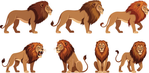 Set of detailed lion illustrations in different poses and angles, realistic wild animal character collection isolated on white background for wildlife design projects © Aminul