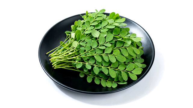 Fresh green Moringa oleifera leaves (Daun Kelor) on black plate and single branch isolated on white background. Organic herbal superfood and healthy cooking ingredient.