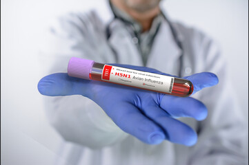 Obraz premium Avian influenza. Doctor holds in his hand a blood test tube with Avian influenza test with positive result