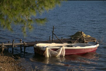 Obraz premium Boat by wooden pier with pine branch framing the coastal scene