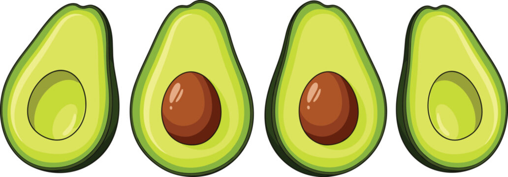 Avocado halves collection with seed and without, fresh healthy food vector illustration for organic diet, vegan nutrition, and tropical fruit design