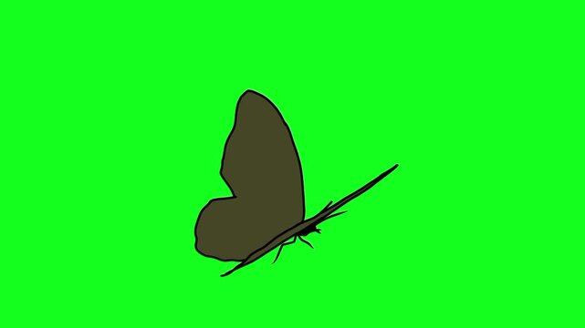 A brown butterfly with its wings spread, captured against a vibrant green screen background, perfect for animation and visual effects