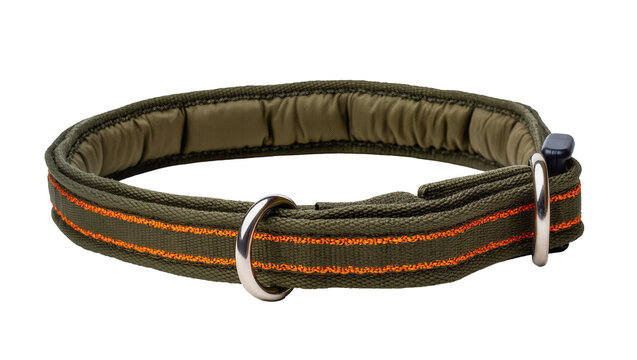 Durable olive green dog collar with bright orange stripes, a sturdy silver D-ring, and black plastic buckle, isolated PNG on transparent background