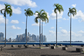 Obraz premium The city seen from the park in summer, Panama City