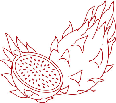 Dragon Fruit Cut Halved Showing Seeds Tropical Exotic Produce Outline Style