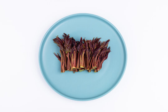 The fresh red tallow tree sprouts on the plate
