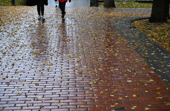Autumn Pathway with Pedestrians and Fallen Leaves