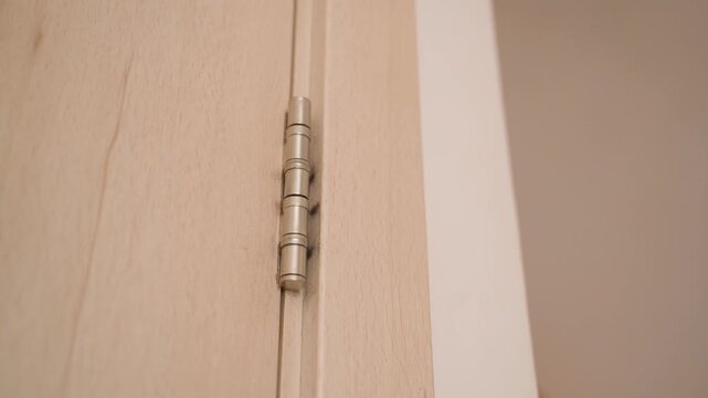 Interior door hinges close-up interior