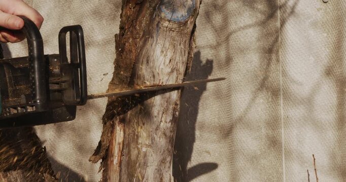 Close-up view of a man's hands using an electric chainsaw to cut through a dry tree trunk, with sawdust flying around during the logging process against a textured background.