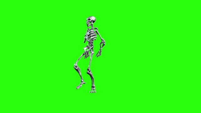 Dancing skeleton or horror skull with green screen or chroma key video art animation
