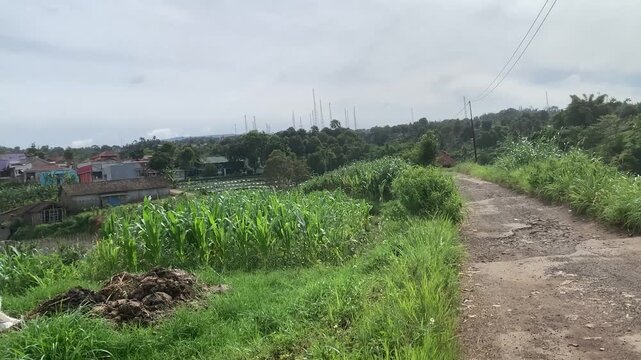 rural environment landscape countryside indonesian village west java village life tropical rural