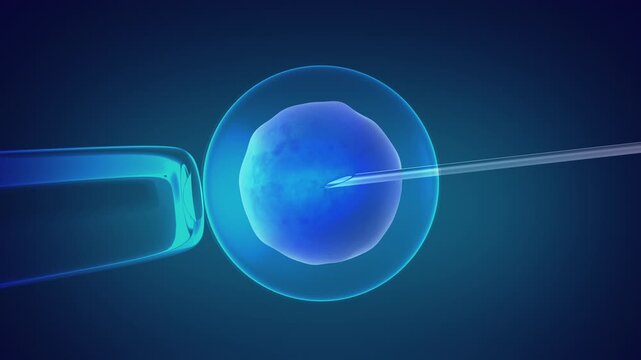 In vitro fertilisation concept artificial insemination