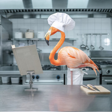 Flamant rose en toque blanche et tablier cuisine professionnelle regard livre recettes