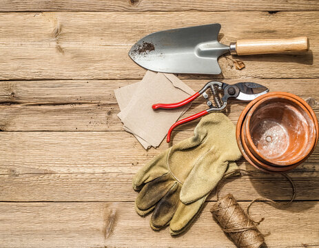 Collection outils jardinage flat lay bois vieilli truelle s&eacute;cateur gants graines pots