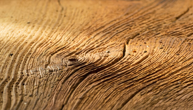 Texture macro de bois vieilli aux rainures profondes et tons chauds