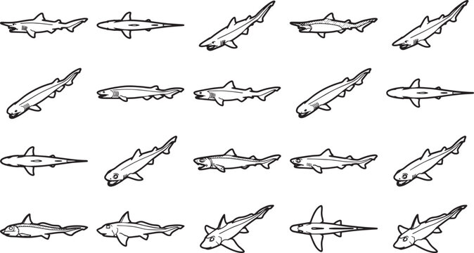 A collection of stylized depictions of sharks, swimming dynamically against an empty field.