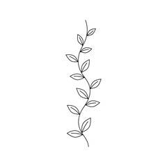 Obraz premium Vine Leaves Border Decorative Element Commercial