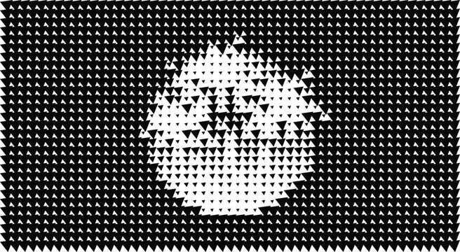 A black and white image of a face