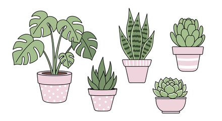 Fototapeta premium Various potted plants including succulents and a Monstera in pink pots on a white background.