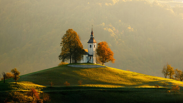 View of a solitary church steeple piercing the soft, golden light atop a verdant hill, framed by trees in autumn colors, Selca, Slovenia.