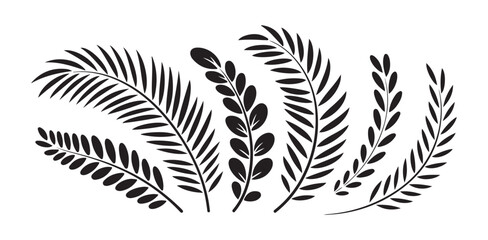 Set of various black stylized tropical palm fern leaves branches collection © MST