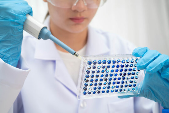 Scientist with cell culture in sample micro plate for research in science laboratory.