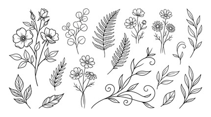 Fototapeta premium Delicate monochrome botanical sketch collection of flowers, leaves, and stems in fine line art