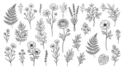 Fototapeta premium Hand-drawn grayscale botanical illustration set with diverse flowers, leaves and stems for art, design, and nature study projects