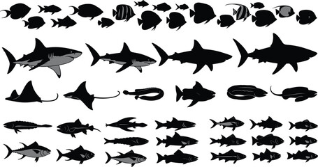 Obraz premium Fish and Shark Icon Set with Various Marine Species Including Sharks, Rays, and Ocean Fish in Black and White