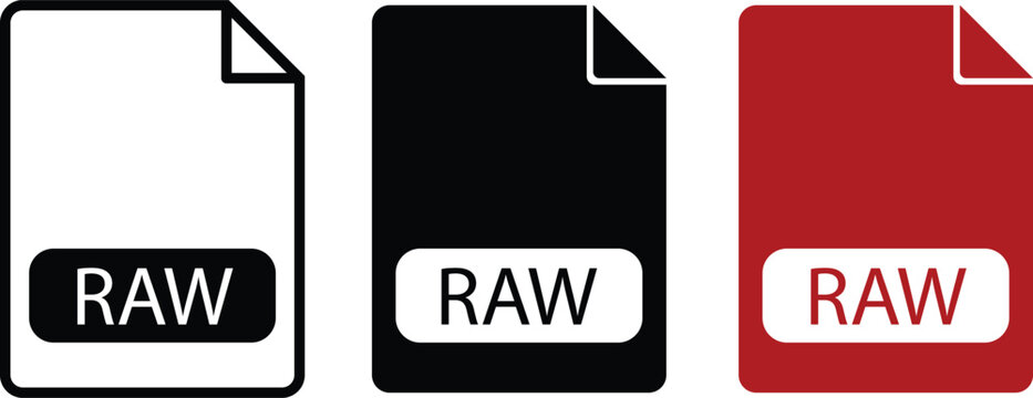 RAW file format icons in flat vector style, digital photography document extension symbols, set of 3 file type labels for web and UI design
