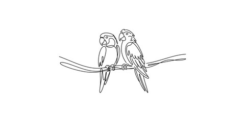 Two parrots sitting on a branch in a continuous line drawing style illustration parrot © SR