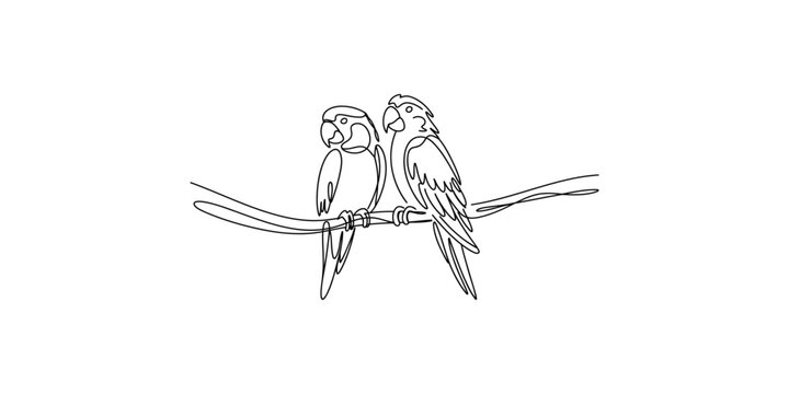 Two parrots sitting on a branch in a continuous line drawing style illustration parrot