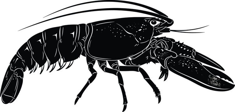 Vintage black silhouette lobster vector illustration with detailed shell texture for seafood restaurant menus organic market branding and coastal nautical,