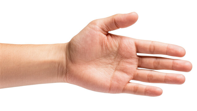 Open human hand with palm facing upward, gesture for giving, receiving, or showing