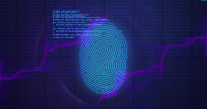 Animation of security biometric fingerprint and data processing