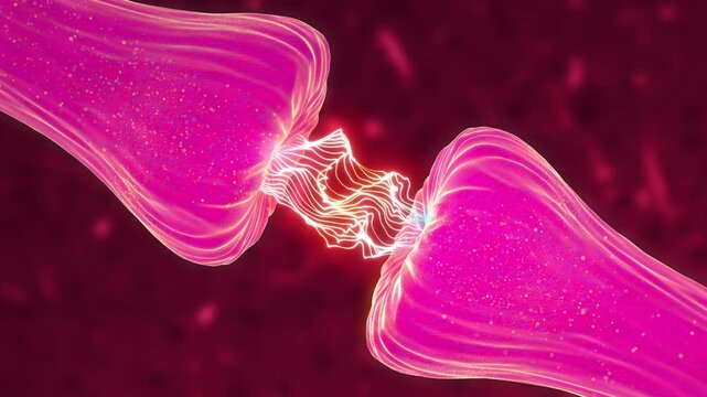 Neuronal and Synapse Activity medical animation