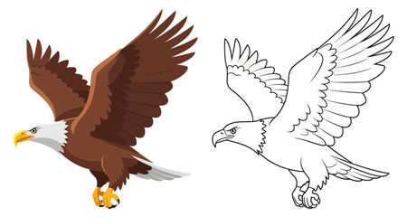 Fototapeta premium Bald Eagle Flying Detailed Close-up Color and Outline Comparison Vector Illustration