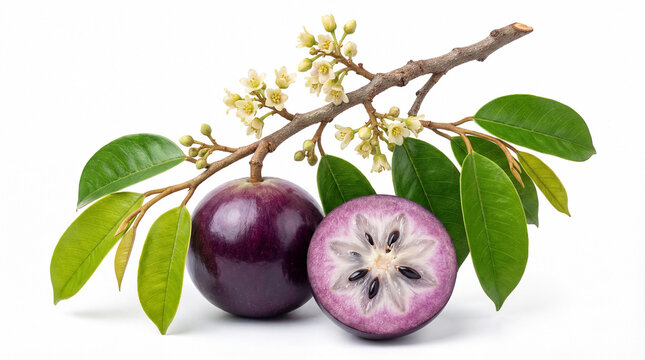 Purple star apple branch with whole fruit, leaf and flower, cut half showing juicy flesh isolated on white background.