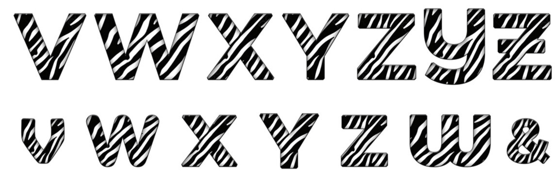Tiger pattern V, W, X, Y, Z word design text alphabet letter typography font design