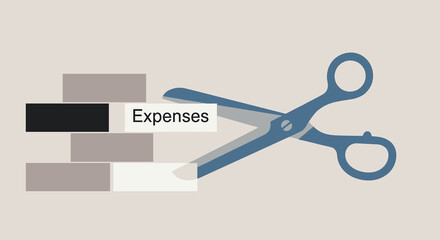 Flat minimalist illustration of company cost optimization b © Artbibun