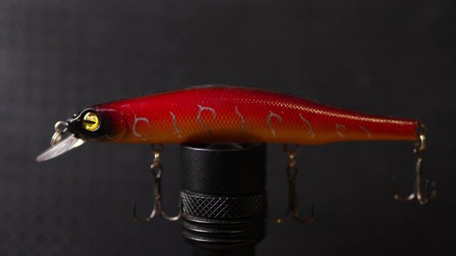 Fishing wobblers for predatory fish of various colors and patterns