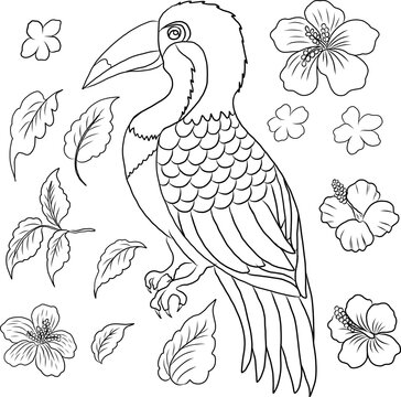 A vibrant and playful illustration of a toucan bird surrounded by tropical flowers and lush green leaves. The artwork features a stylized toucan with a large, eye catching beak and beautifully layered